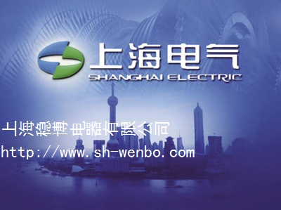 上海电气集团案例
